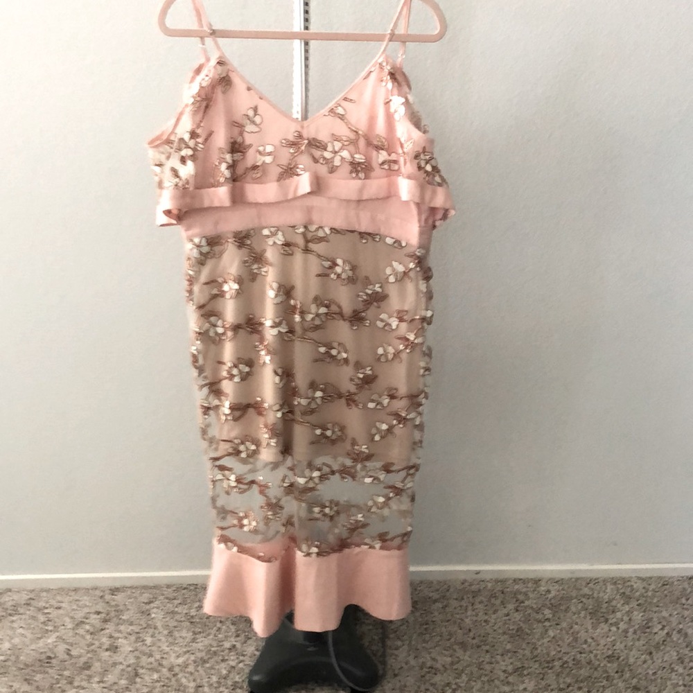 Woman’s Sheer Dress